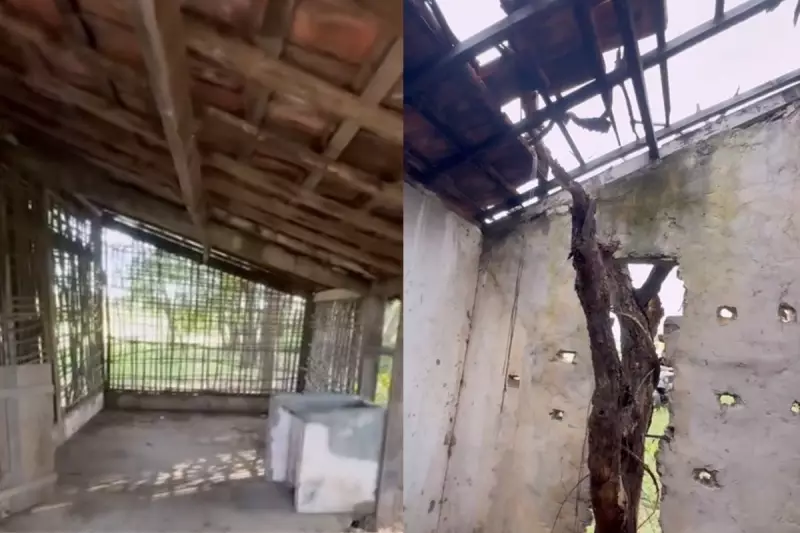 Tapera da Juma Resiste ao Tempo: Vídeo Revela Estado Atual da Casa no Pantanal