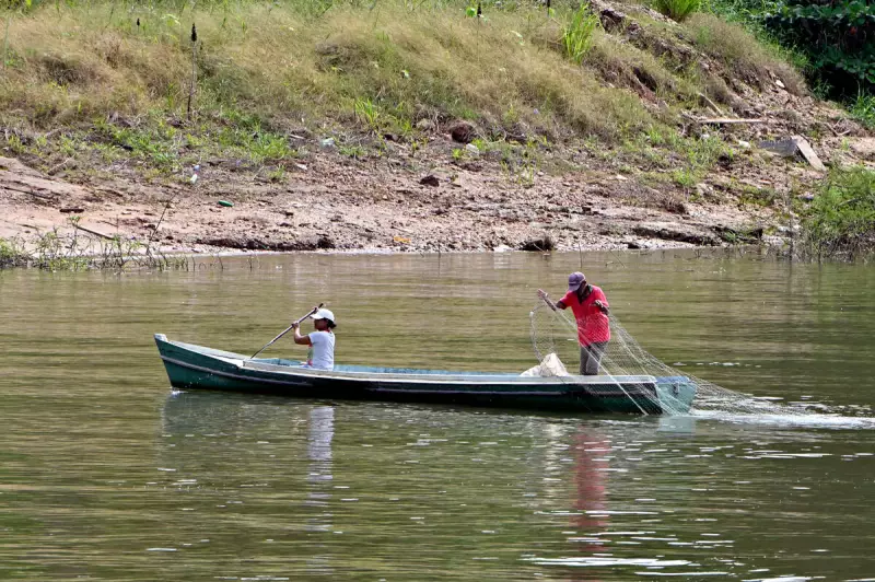 Tecnologia Une Botos e Pescadores: Uma Revolução de Harmonia na Amazônia