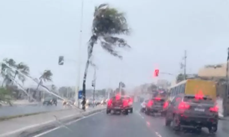 Tempestade castiga a Bahia: enchentes e deslizamentos deixam rastro de destruição