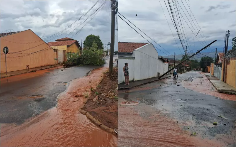 Temporal de 30 minutos causa destruição em Delfinópolis: postes caem, árvores são arrancadas e casas perdem telhados