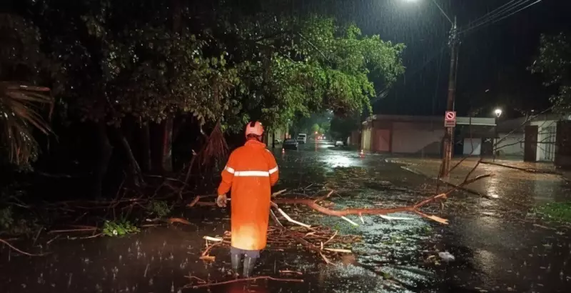 Temporal em Araçatuba: Árvore desaba em UBS e bombeiros registram 12 ocorrências durante tempestade