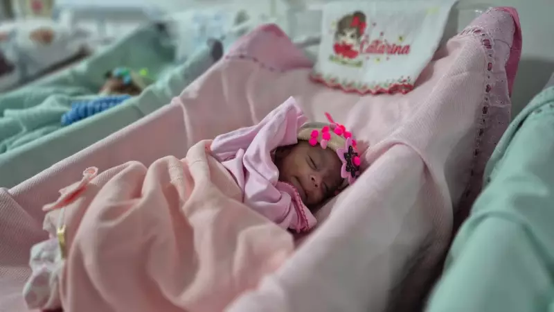 Toucas Coloridas: Mães Transformam UTI Neonatal em Oásis de Alegria em Roraima