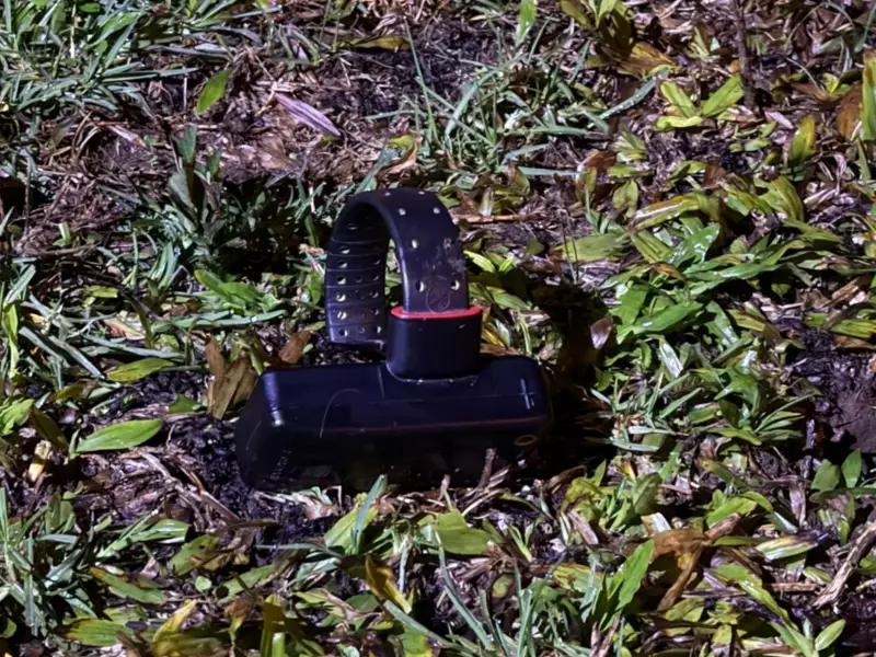 Tragédia em família no Paraná: briga termina com um morto e quatro feridos a tiros