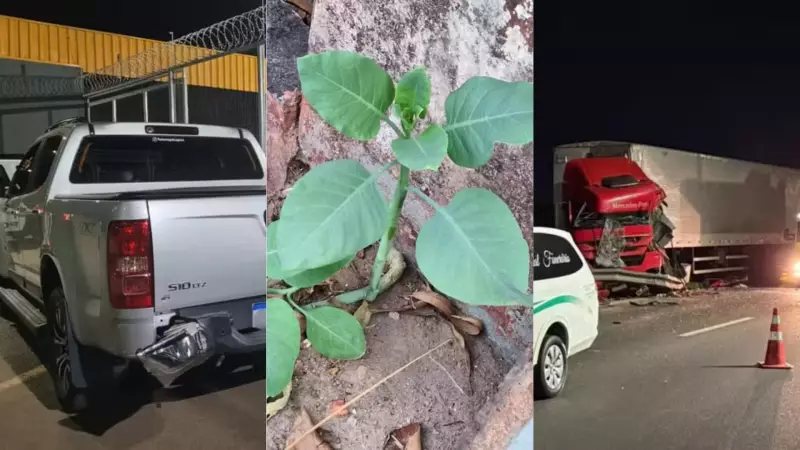 Tragédia em Minas: Empresário Faz PIX de R$ 16 Mil Antes de Ser Assassinado | Casos Inusitados Abalam Triângulo Mineiro