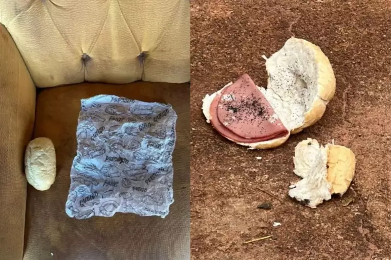 Tragédia em MS: Jovem morre após comer pão com mortadela envenenado