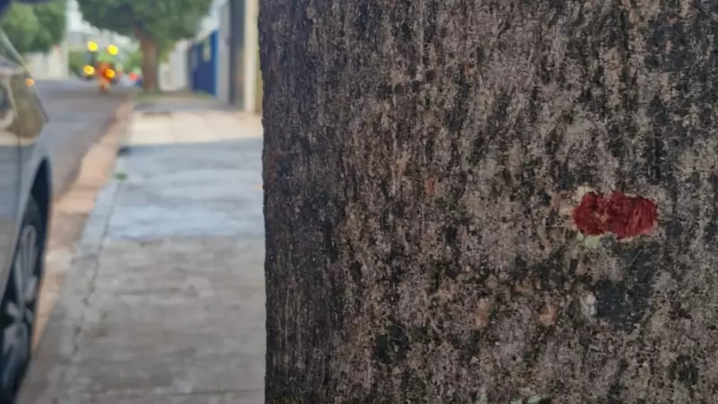 Tragédia em Rio Preto: Empresário é morto a tiros durante briga em bar