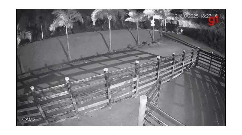 Tragédia na LMG-822: Motociclista perde a vida após queda e ser atropelado por caminhão em Lajinha