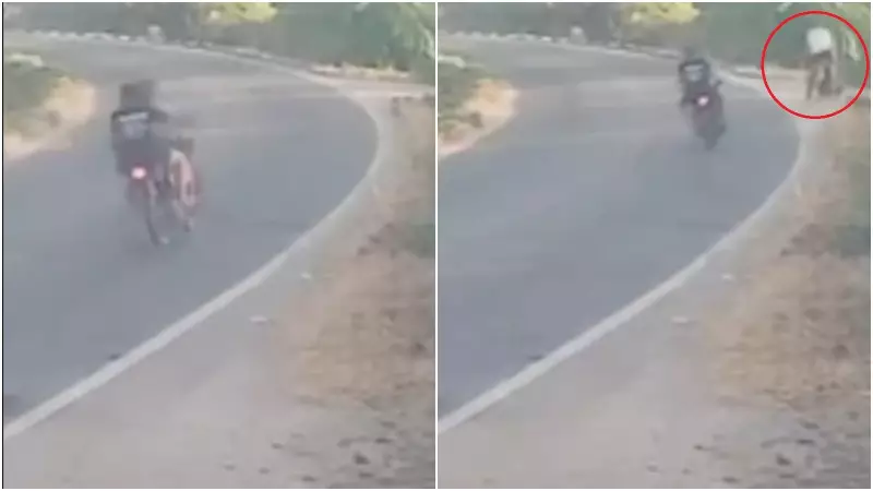 Tragédia no Ceará: Motociclista Morre Após Perder Controle em Curva no Interior