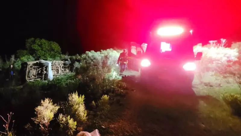 Tragédia no RS: Pai e Filha Morrem em Ataque de Abelhas Após Acidente de Carro