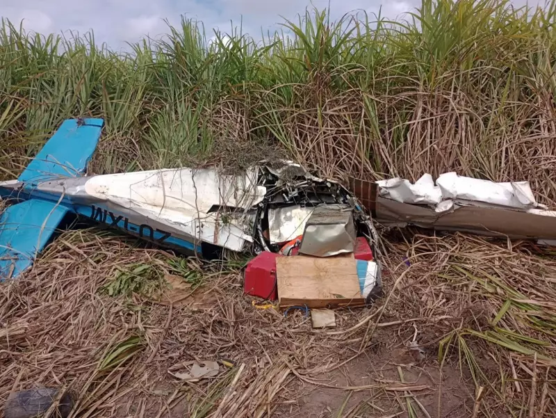 Tragédia nos céus de Alagoas: IML identifica corpo de piloto australiano após queda de avião