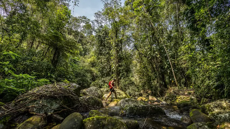 Trail Run em Ascensão: Como a Corrida na Natureza Conquistou os Brasileiros