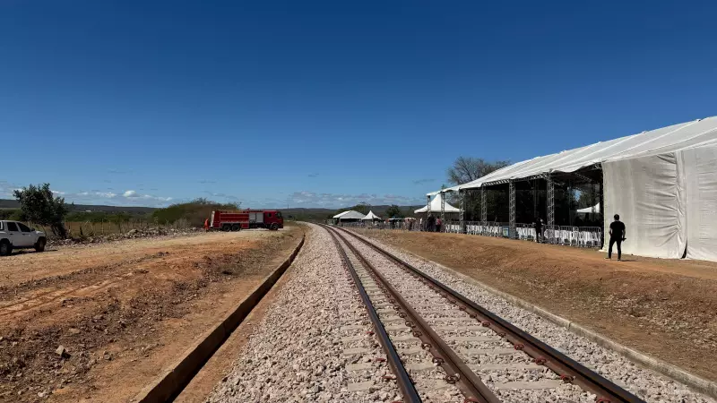 Transnordestina Paralisa: Falta de Licença do IBAMA Adia Início das Operações da Ferrovia