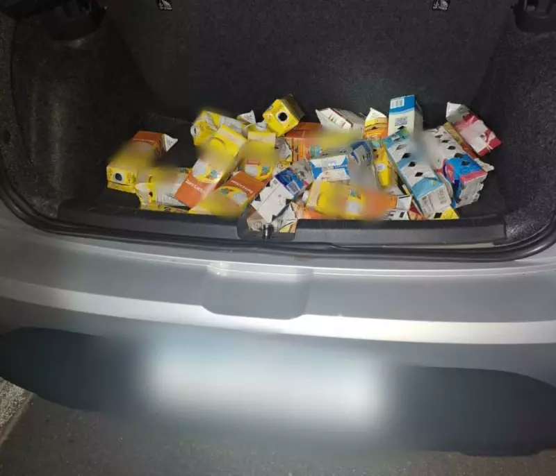 Tráfico de Aves: Trinca-ferros e Sabiás Encontrados Escondidos em Caixas de Leite em MG