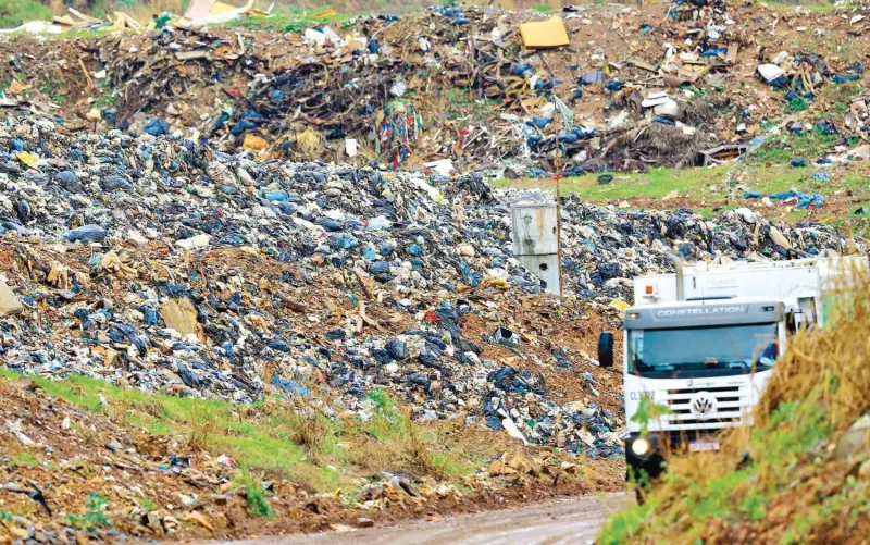 Urubus em Goiânia: Prefeitura gasta R$ 151 mil em fogos para espantar aves, método proibido no estado