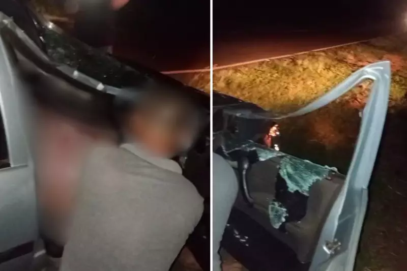 Vaca Solta em Rodovia Causa Acidente Grave e Deixa Feridos em Rosana