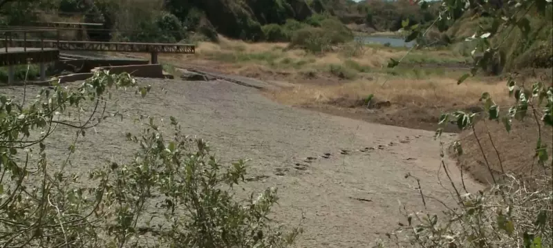 Vale dos Dinossauros na Paraíba reabre as portas após incêndio devastador