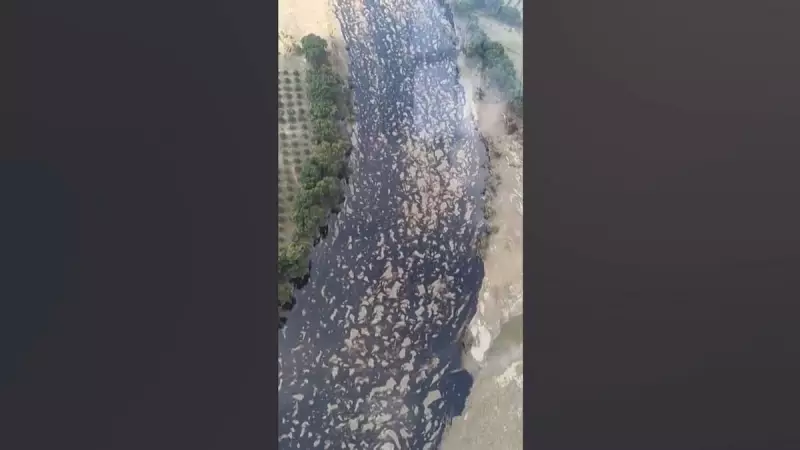 Vazamento de óleo contamina rio no México após tubulação romper com chuva forte