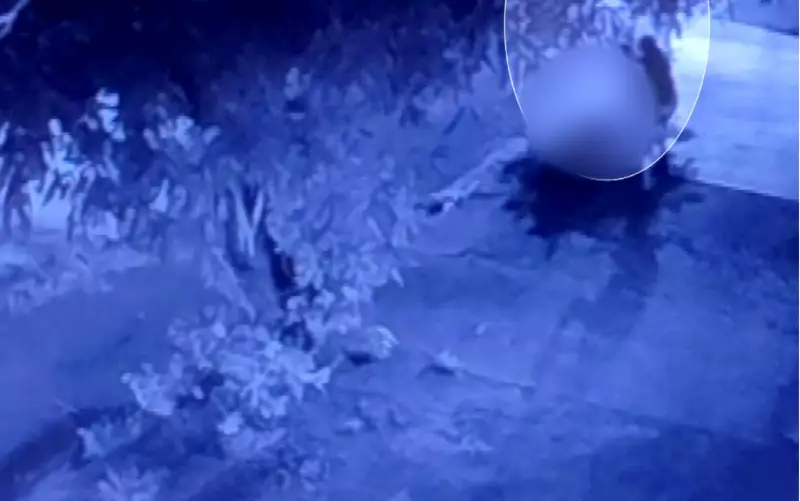 VÍDEO CHOCANTE: Pai é preso após agredir e matar a própria filha em Ribeirão Preto