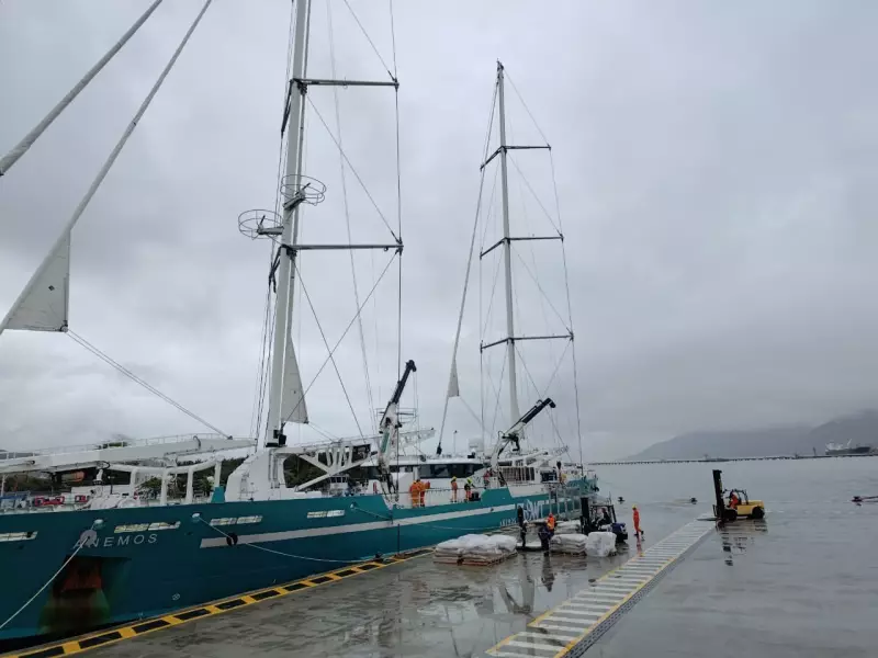 Velas do Futuro: Cargueiro Movido a Vento Transporta 600 Toneladas de Café e Cacau do Brasil para Europa