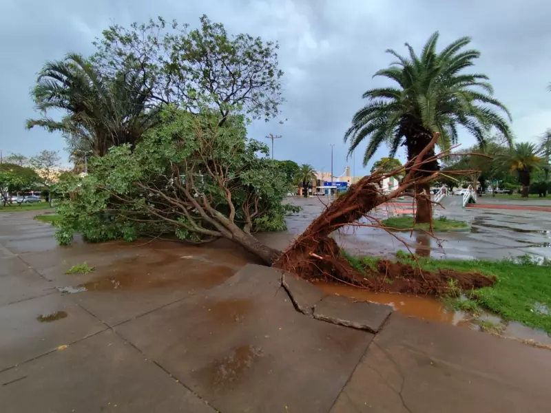 Ventos de mais de 100 km/h causam destruição em Caarapó, MS: veja imagens e previsão