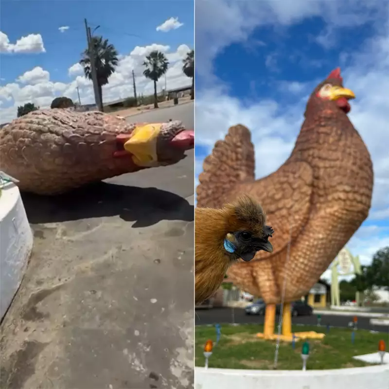 Ventos Fortes Derrubam Monumento da Galinha na BR-304 em Assú: Símbolo da Cidade é Danificado