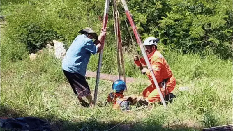 Vira-lata Caramelo tem final feliz após cair em poço de 10 metros em Mairinque; Defesa Civil realiza resgate emocionante