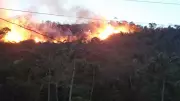 Balão cai e provoca incêndio florestal em Juiz de Fora; bombeiros combatem as chamas