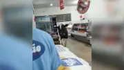 Boi invade supermercado em MG e persegue açougueiro em cena surreal; VÍDEO