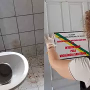 Cachorro Morre Após Passar por Clínica Veterinária em Vilhena: Caso Gera Comoção e Investigação