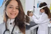Cachorro volta a enxergar com lente de contato humana: conheça a técnica revolucionária