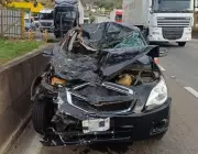 Cavalos Atropelados na Dutra: Acidente Inusitado Interrompe Tráfego em Barra Mansa