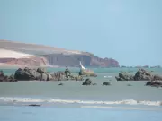 Ceará Abre Concurso com Salários de R$ 5 mil em Cidade de Praias Paradisíacas - Inscrições Abertas!