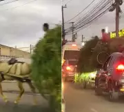 Cena Inusitada em Campos: Carroça com Mato e Bicicleta Circula Entre Carros na Avenida 28 de Março