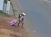 Cães são furtados do Acre e encontrados no Peru latindo dentro de mala: caso choca fronteira