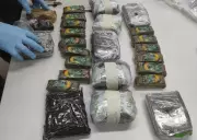 Cão farejador da PF descobre haxixe em mala de passageira no aeroporto de Natal; mulher é presa em flagrante