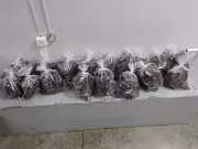 Cocaína Negra: Polícia desmonta esquema de drogas em mansão de luxo na Zona Oeste de Manaus