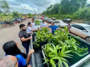 Distribuição de Mudas Transforma Cipoal: Comunidade em Santarém Ganha Incentivo ao Plantio de Frutas