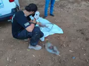 Duas Ossadas Humanas em Sacos Assustam Minas Gerais: Mistério no Rio Preto