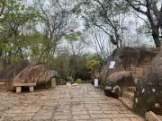 Febre Maculosa em Salto: Mortes Disparam e Prefeitura Declara Alerta Máximo