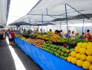 Feiras e Mercados de Aracaju: Guia Completo com Locais e Horários para Você Não Perder Nada