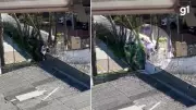 Fuga Ousada: Homem Escapa de Instituto Penal pelo Telhado no RS; Vídeo Impressiona