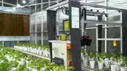 Furto em Laboratório Revela Avanço Revolucionário no Combate a Doenças Agrícolas