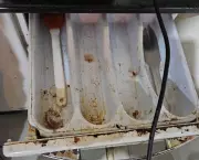 Hamburgueria em Maceió é interditada por esgoto a céu aberto e condições insalubres