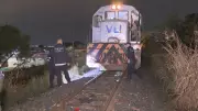 Homem sobrevive após ser atropelado por trem no Distrito Federal: veja detalhes do acidente
