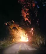 Incêndio de grandes proporções ameaça rodovia MG-267 entre Machado e Carvalhópolis; veja vídeo