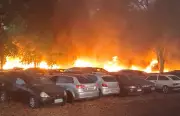 Incêndio de Grandes Proporções Devasta Pátio do Detran em Jaboticabal, SP