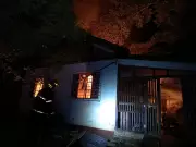 Incêndio Devasta Santuário de Animais no RS: 300 Vidas em Risco e Corrida Contra o Tempo