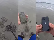 Jovem encontra iPhone enterrado na praia de Balneário Camboriú e emociona ao devolver para dona
