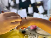 Jovens do Amapá Inovam com Maquiagem Natural Inspirada na Cultura Wajãpi