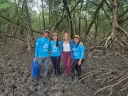 Manguezais da Amazônia: O Segredo Ancestral que Mantém a Floresta Viva e em Recuperação